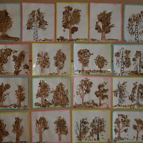 Фотография - 917284711242