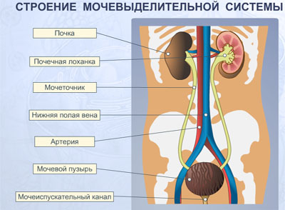 https://xn--i1abbnckbmcl9fb.xn--p1ai/%D1%81%D1%82%D0%B0%D1%82%D1%8C%D0%B8/641972/img1.jpg