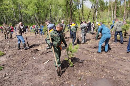 http://www.n71.ru/files/113718/_5064836.jpg