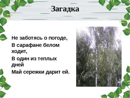Просмотр содержимого документа &quot;Школьная газета &quot;Экологический ве...