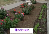 DSC01775.JPG