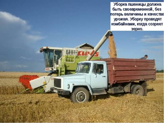 http://cs622718.vk.me/v622718949/499d4/N7DKCjURtrI.jpg
