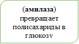 (амилаза) превращает полисахариды в глюкозу