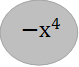 〖-х〗^4

