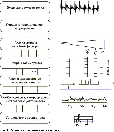 Основы психоакустики (Интересные особенности психоакустики)
