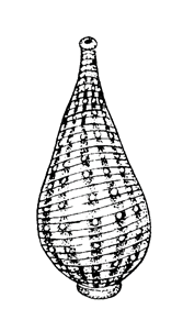 https://xn--j1ahfl.xn--p1ai/data/images/u128470/t1508365068aa.png