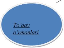 To’qay o’rmonlari
