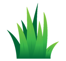 https://flyclipart.com/thumb2/green-grass-clip-art-lawn-green-grass-free-vector-graphic-829756.png