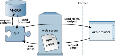 PHP извлекает данные MySQL для создания веб-страниц