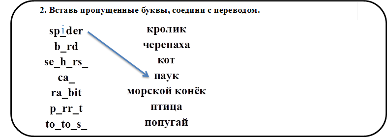 2. Вставь пропущенные буквы, соедини с переводом.,sp_der
b_rd
se_h_rs_
ca_
ra_bit
p_rr_t
to_to_s_

,кролик
черепаха
кот
паук
морской конёк
птица
попугай

,i