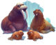 https://img2.freepng.ru/20180327/ogq/kisspng-ark-survival-evolved-walrus-sea-lion-bear-animal-arctic-fox-5ab9ee107812c0.4894865015221345444918.jpg