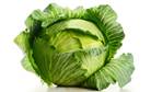 Image result for ÐºÓ©ÐºÓ©Ð½Ñ–ÑÑ‚ÐµÑ€ ÑÑƒÑ€ÐµÑ‚Ñ‚ÐµÑ€