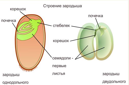 https://i2.wp.com/luckclub.ru/images/luckclub/2018/06/1787_html_m5d08e89f.png