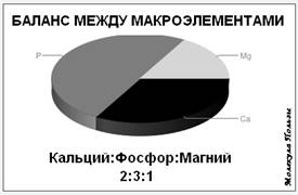 Баланс макроэлементов