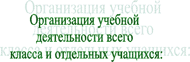 Организация учебной 
деятельности всего 
класса и отдельных учащихся:

