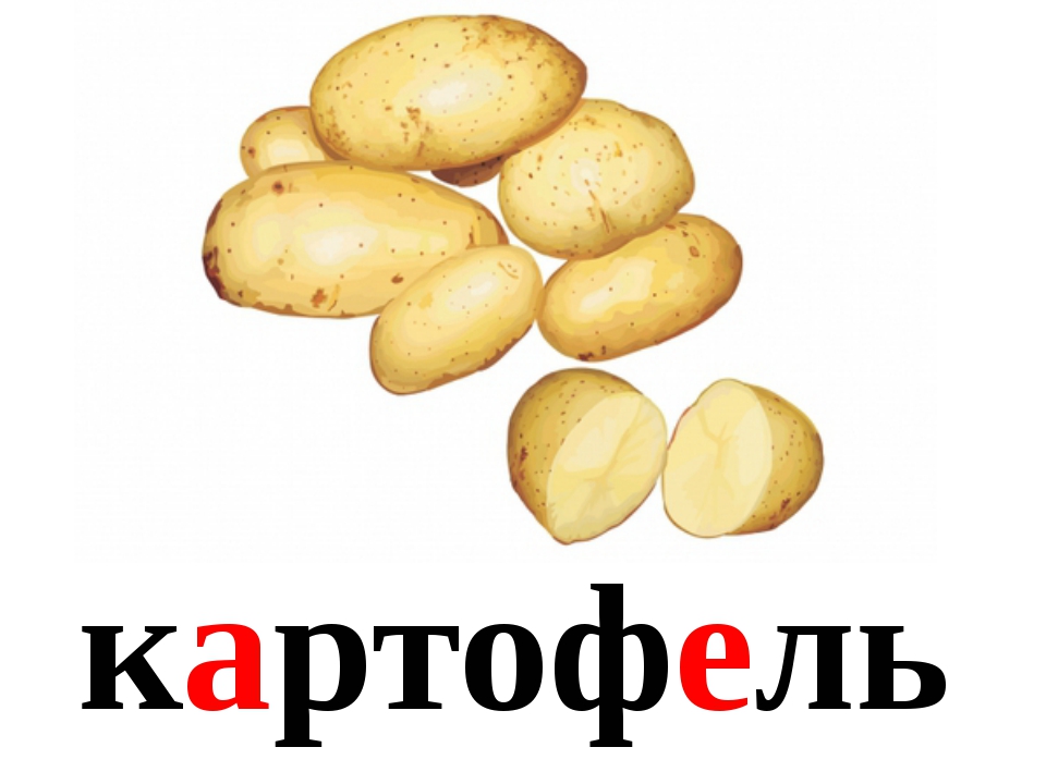 Картофель картинка с надписью