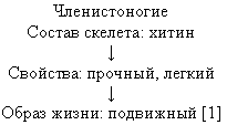http://festival.1september.ru/articles/598964/img2.gif