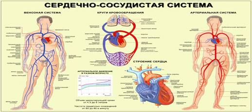 https://www.power911.ru/media/k2/items/cache/dbe05350458c15fa6c802fb686391131_XL.jpg