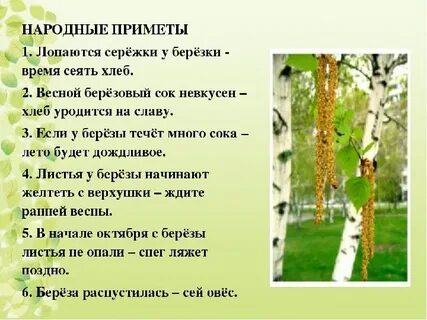 Презентация на тему: Осеннее превращение берёзки для детей с ОВЗ.