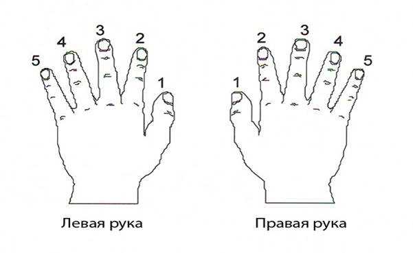 Картинки по запросу "руки рисунок для детей"