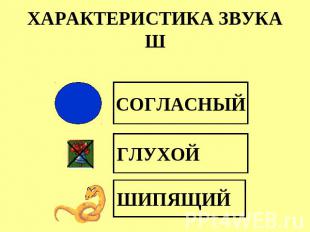 ХАРАКТЕРИСТИКА ЗВУКА Ш СОГЛАСНЫЙ ГЛУХОЙ ШИПЯЩИЙ