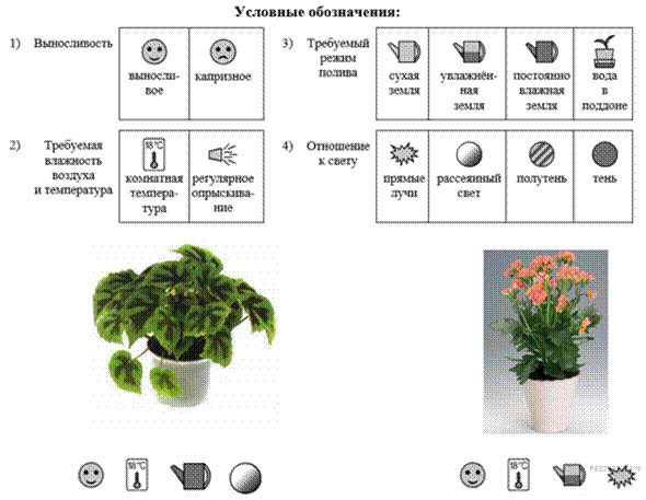 https://bio6-vpr.sdamgia.ru/get_file?id=32832