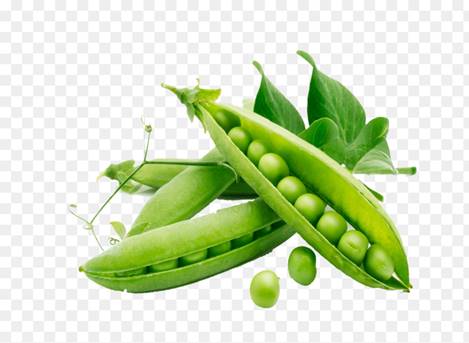 https://img2.freepng.ru/20180306/lxe/kisspng-snow-pea-organic-food-vegetable-plant-fruit-peel-peas-5a9efabd1e77d8.8059714315203683171248.jpg