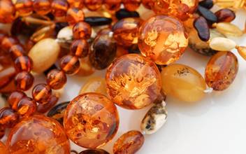 ФОТО: socketmira.ru