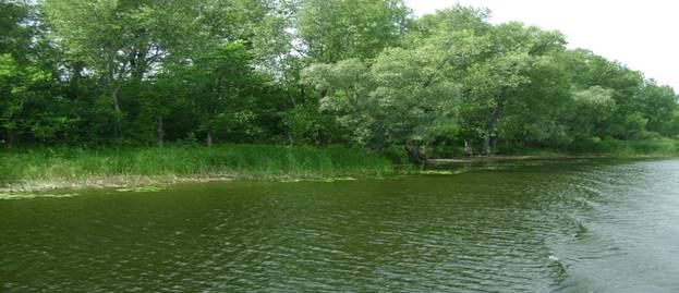 ÐœÐ¾Ñ€Ð´Ð¾Ð²Ð¸Ð½ÑÐºÐ°Ñ Ð¿Ð¾Ð¹Ð¼Ð°