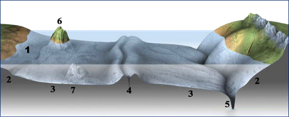 Строение дна 4.png