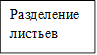 Разделение листьев