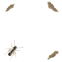 http://class-fizika.narod.ru/8_class/8_urok/8_1/56.gif