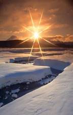 https://avatars.mds.yandex.net/i?id=e07252e8818f0cfff8f4a9d5f272360e028578ef-9182238-images-thumbs&n=13