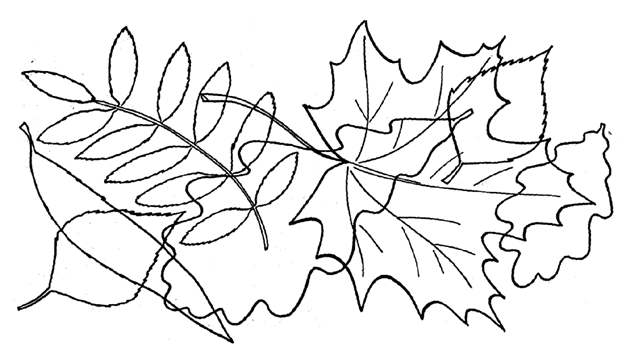 https://i.pinimg.com/originals/d9/ce/f0/d9cef0cd6c66fc92c1450431202d546b.png