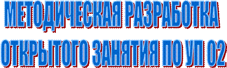 МЕТОДИЧЕСКАЯ РАЗРАБОТКА 
ОТКРЫТОГО ЗАНЯТИЯ ПО УП 02
