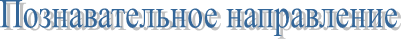 Познавательное направление