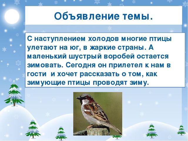 Объявление темы. С наступлением холодов многие птицы улетают на юг, в жаркие...