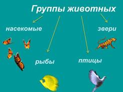 Презентация на тему: "Как живут животные. Группы животных насекомые рыбы  птицы звери.". Скачать бесплатно и без регистрации.