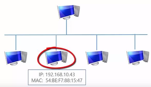 https://zvondozvon.ru/wp-content/uploads/2019/12/ip-mac.jpg