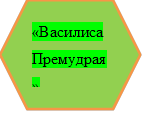 «Василиса Премудрая»

