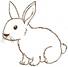 Rabbit Drawing Images - Free Download on Freepik