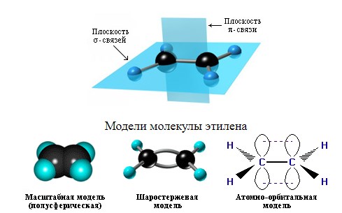 https://chemege.ru/wp-content/uploads/2019/10/%D1%81%D1%82%D1%80%D0%BE%D0%B5%D0%BD%D0%B8%D0%B5-%D1%8D%D1%82%D0%B8%D0%BB%D0%B5%D0%BD%D0%B0.jpg