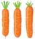 https://st2.depositphotos.com/1006597/8700/v/950/depositphotos_87008012-stock-illustration-collection-of-various-vector-carrots.jpg