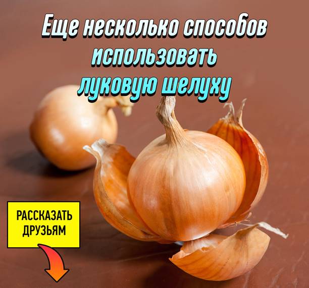 https://i.mycdn.me/image?t=3&bid=839672027959&id=839672027959&plc=WEB&tkn=*nLscTU4x1xtV_zRV3KJJ-93f3kE