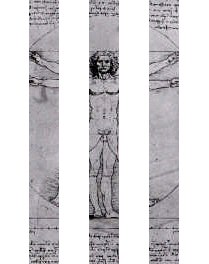 davinci2