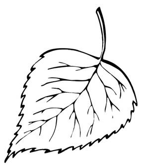 https://wonder-day.com/wp-content/uploads/2021/09/wonder-day-leaves-49.jpg