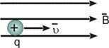 4879_ris55