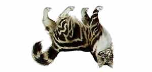 2640138-89e1e8c3a4a3f441