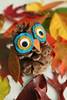 http://img3.postila.ru/storage/6080000/6066939/cd30bd7ccbeaef8f58ecf9addcf9fb3c.jpg