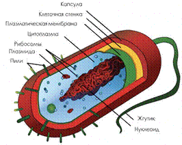 Изображение выглядит как текст

Автоматически созданное описание